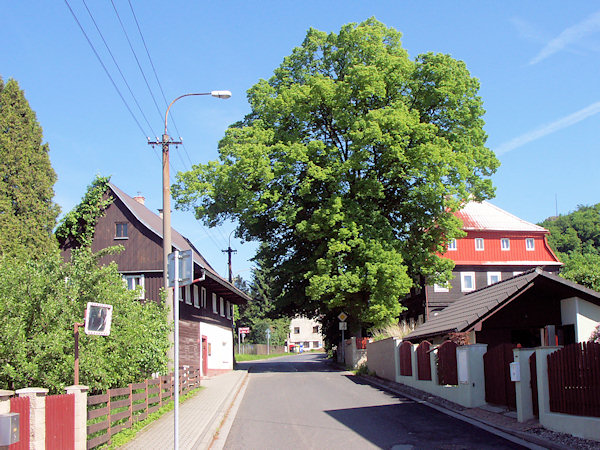 Hauptstraße mit dem Restaurant U dvou lip (Zur zwei Linden).