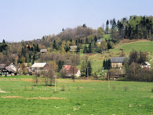 Blick auf die Häuser des oberen Teiles von Dolní Světlá (Niederlichtenwalde).