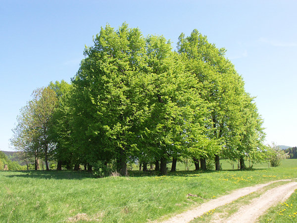 Der ehemalige Friedhof auf der Südseite des Ortes.