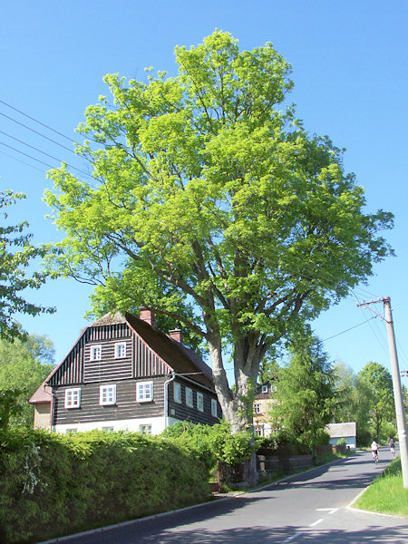 Patrový dům na dolním konci osady u silnice z Krompachu.