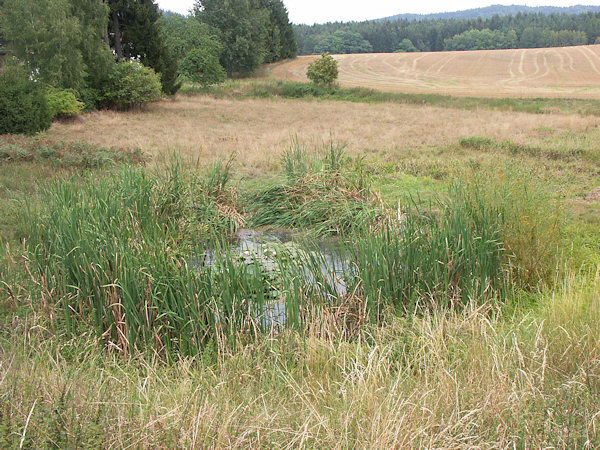 Ein kleiner Teich in der Nähe der Kapelle.