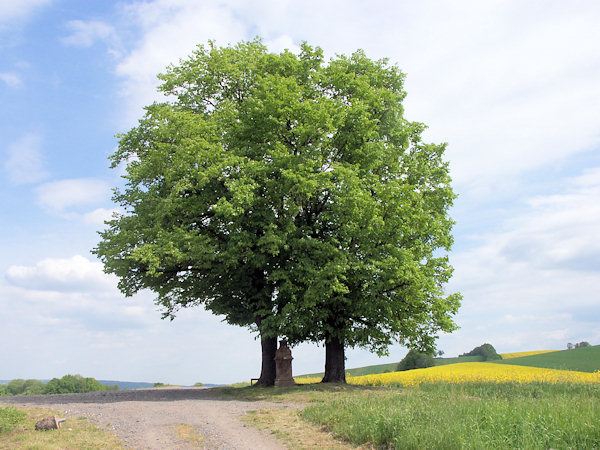 Wegkreuzung mit dem Schulkreuz auf den Feldern nördlich des Friedhofs.