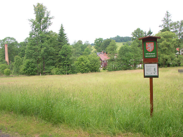 Geschützte Blumenwiese in der Siedlung Pekelský Důl.