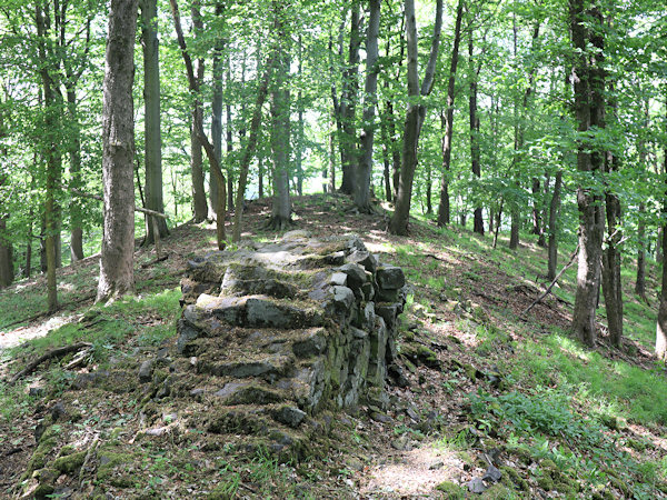 Zalesněný vrchol kopce.