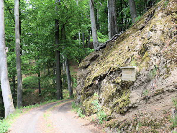 Skalka s pamětní deskou u cesty do sedla.