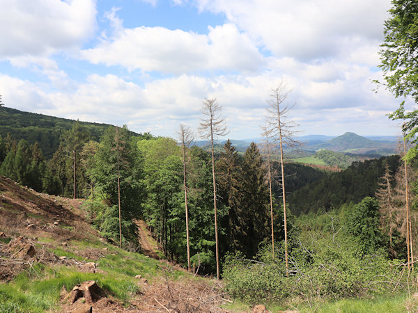 Pohled z odlesněného svahu Bukoviny k Růžovskému vrchu.