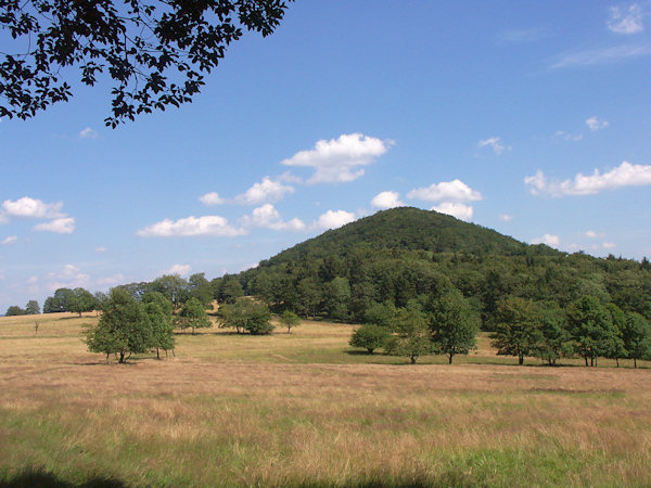 Blick auf den Javorek (Kleiner Ahrenberg) vom Studenec (Kaltenberg).