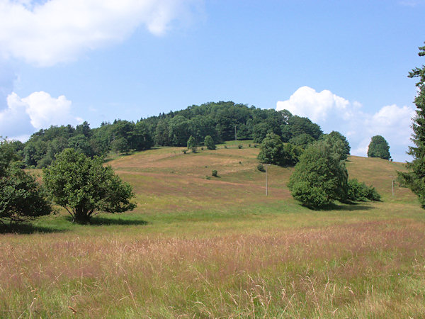 Blick auf den Lipnický vrch (Himmertsberg) von Osten.