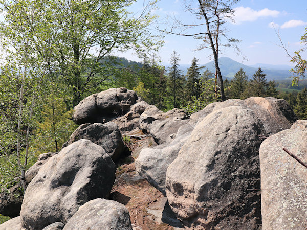 Das Felsenmassiv auf dem Gipfel des Bilfertsteins.