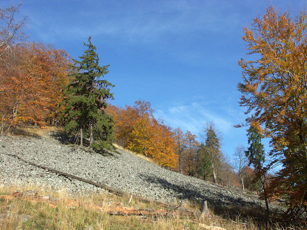 Blockhalde auf dem Südabhange des Berges.