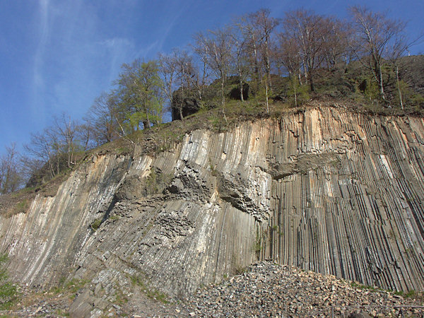 Basaltsäulen im Steinbruche des Zlatý vrch (Goldberg).
