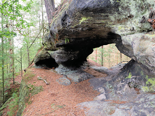 Felsdurchgang auf der Oberseite des Kuckuckssteins.