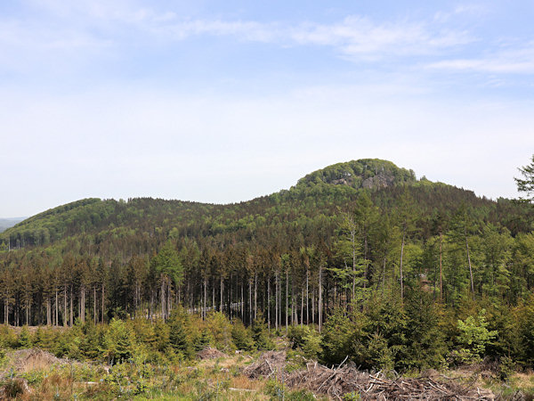 Pohled na Chřibský vrch od jihu.
