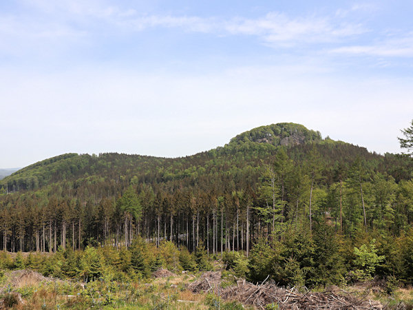 Blick auf den Chřibský vrch von Süden.