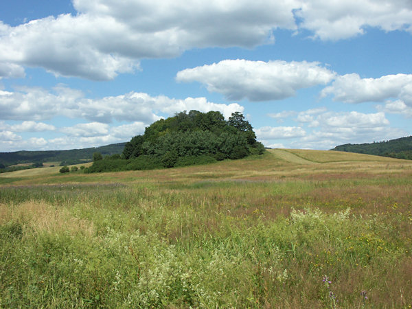 Basaltfelsen auf dem Lipový vrch.