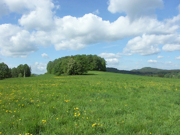 Blick auf die Anhöhe von Osten.