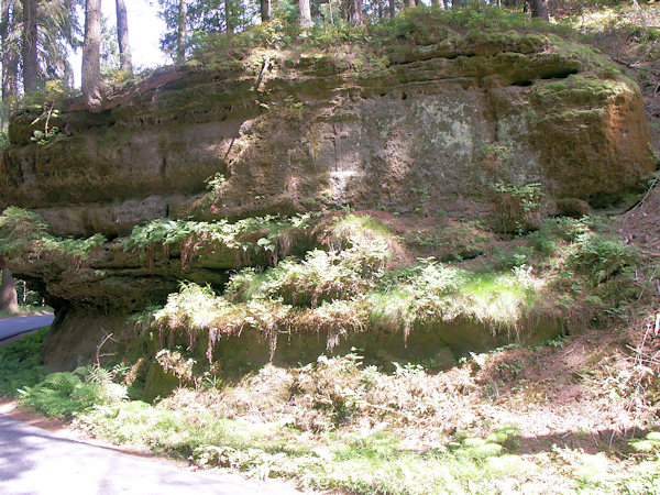 Das Rote Kreuz an der Strasse nach Doubice (Daubitz).