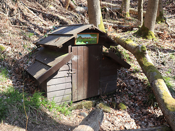 Studánka pod Pětidomím.