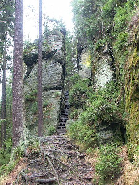 Der Felsspalt mit der auf die Vyhlídka Kinských (Kinsky-Aussicht) hinaufführenden Treppe.