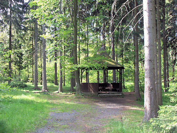 Stiller Waldwinkel mit den Quellen des Křinice-Baches.