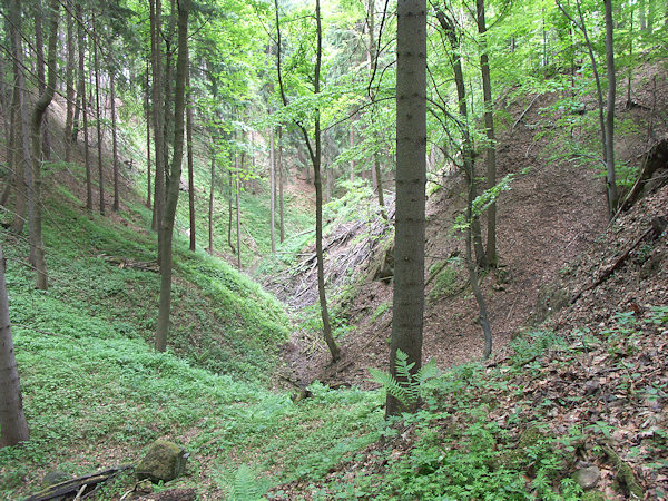 Blick in den alten Steinbruch von Norden.