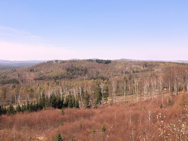 Pohled na ploché temeno Vápenného vrchu z vyhlídky na sousedním Širokém vrchu.