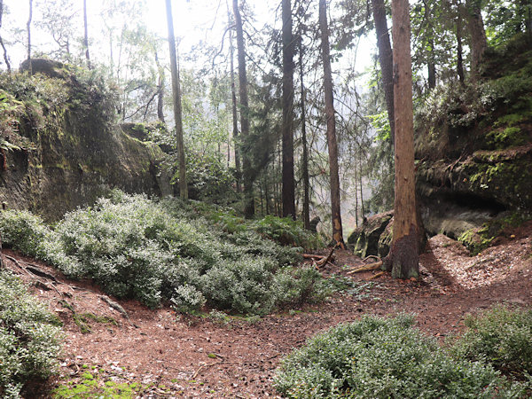 Die Felsspalte vor der Burg ist auf der linken Seite künstlich aufgeschnitzt worden.