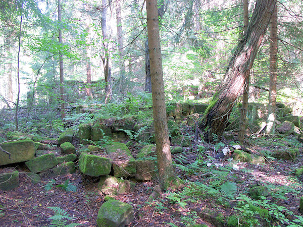 Überreste der Böhmischen Mühle.