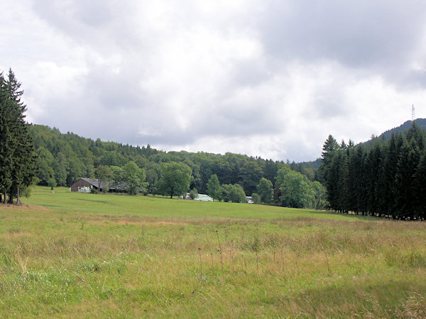 Blick auf die Wiese, auf der das Bleichhaus von Hampl stand.