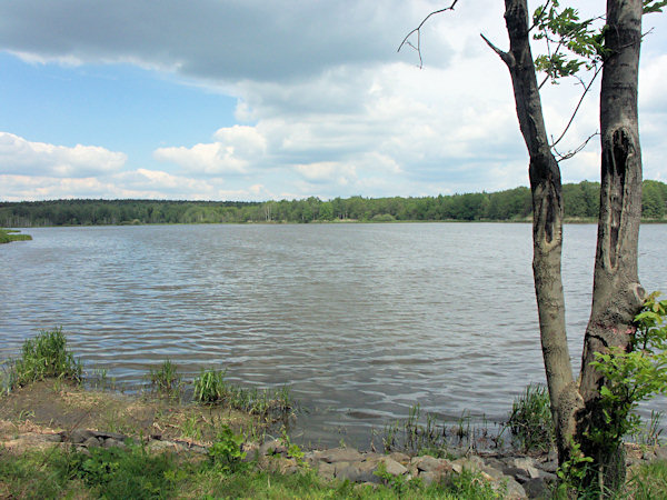 Pohled na rybník od jihozápadu.