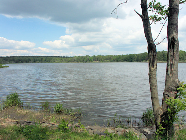 Blick auf den Lichtenteich von Südwesten.