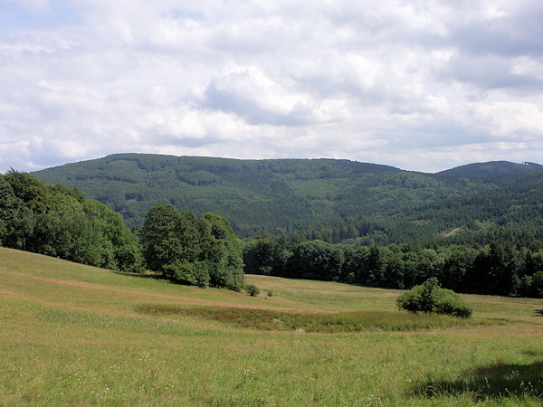 Pohled na zalesněný masiv Pěnkavčího vrchu od Tolštejna.