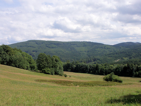 Gesamtansicht des waldbestandenen Massives des Pěnkavčí vrch (Finkenkoppe) vom Tolštejn (Tollenstein).