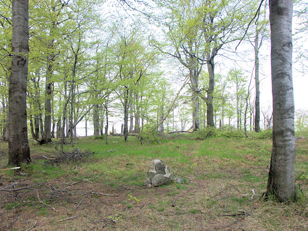 Der schütter bewaldete Gipfel des Berges.