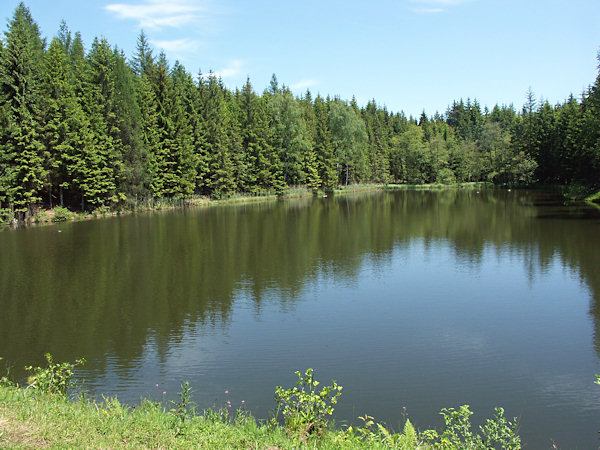 Blick vom Damm auf den Teich Malý Jedlovský rybník (Kleiner Tannteich).