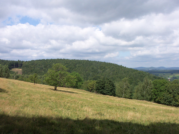 Blick auf den bewaldeten nördlichen Teil des Šibeniční-Hügels vom Hang des Křížová hora aus.