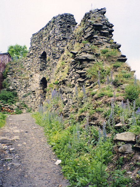 Wehrmauer an der Nordseite der Burg.