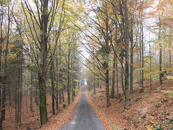 Kočárová cesta (Buchbergstrasse).