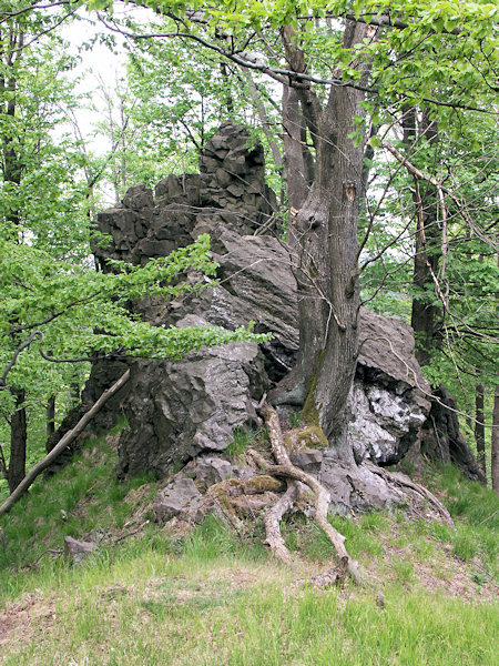 Basaltfelsen auf dem Ostgipfel des Berges.