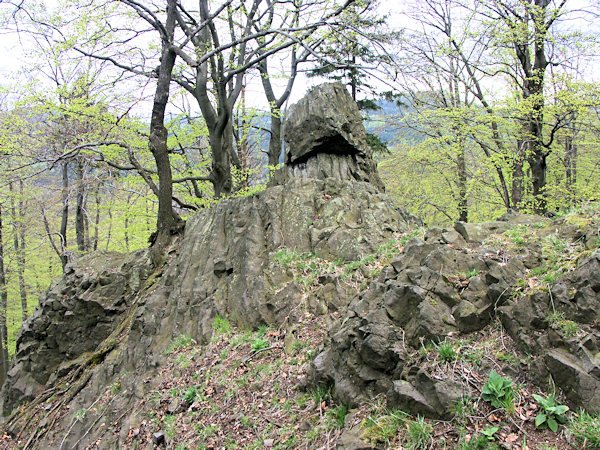 Čedičové skalky na vrcholu.