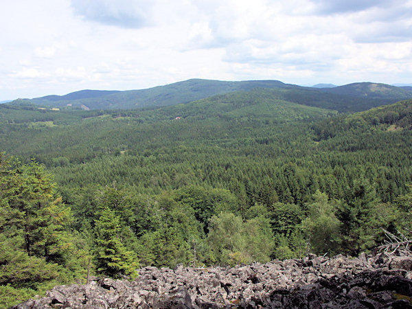 Aussicht vom Velká Tisová (Grosser Eibenberg) in Richtung auf den Pěnkavčí vrch (Finkenkoppe).