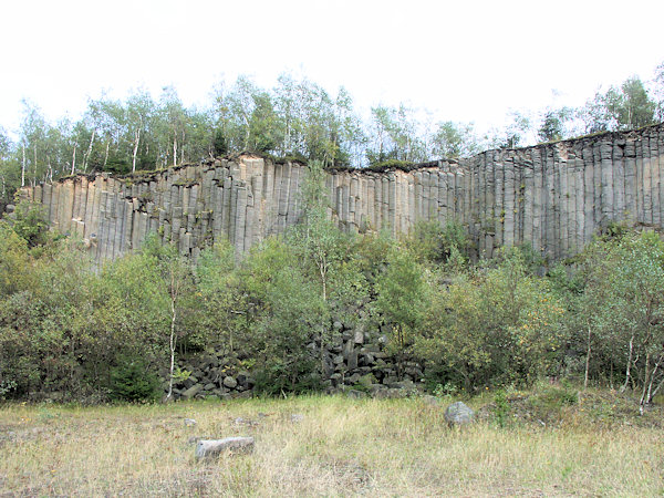 Basaltsäulen in der oberen Etage des Steinbruches.