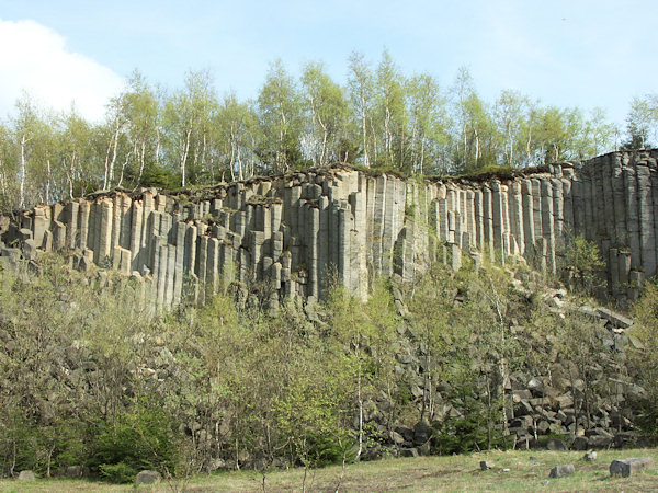 Basaltsäulen in der alte Steinbruches.