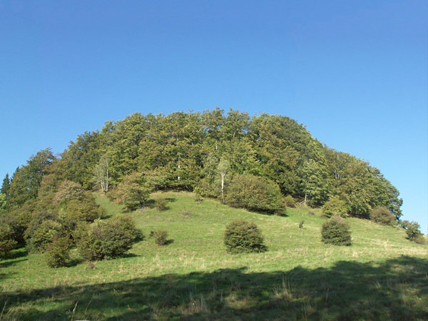 Blick auf den Ovčácký vrch von Osten.