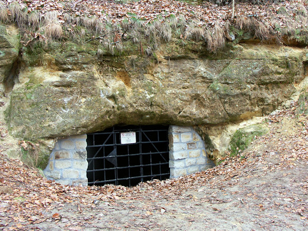 Eingang in die Höhle im alten Sandsteinbruch.