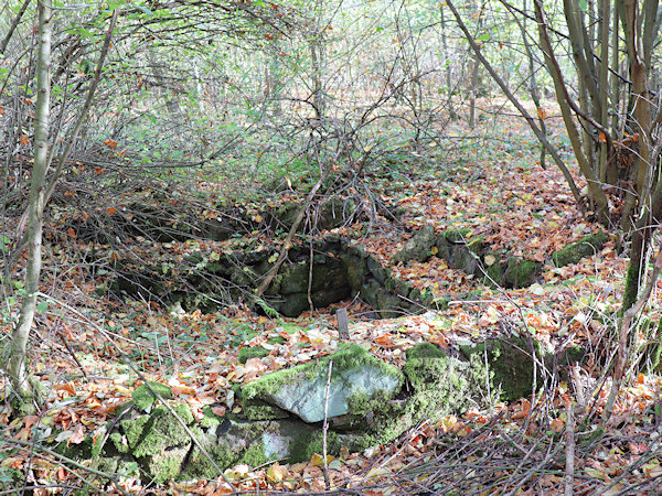 Von der Vegetation überwucherte Grundmauern des Aussichtsturmes.