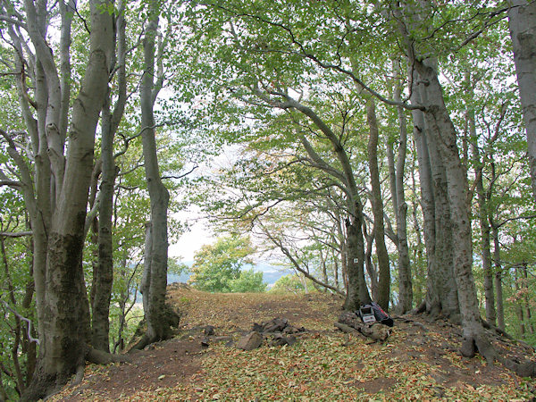 Der ehemalige Aussichtspunkt auf der Kuppe des Hügels.