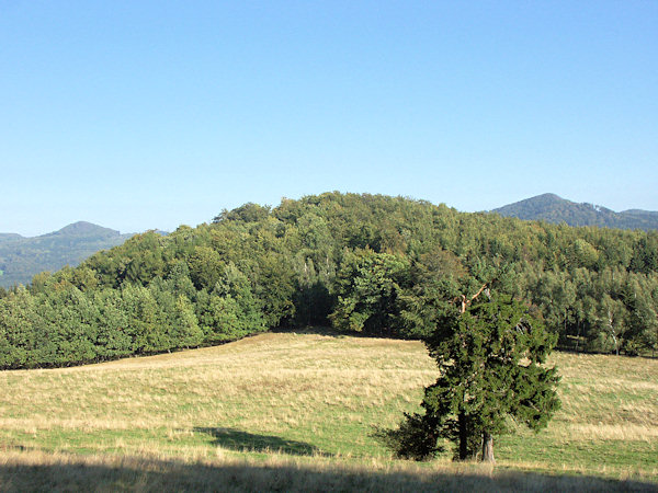 Blick auf den Tetřeví vrch vom Süden.
