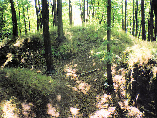 Die unscheinbaren Reste der Burg auf dem Gipfel des Pihelský vrch (Pihlerberg).