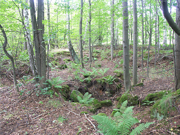 Grasbewachsene Grundmauern der verschwundenen Häusergruppe U Beránka (Lammel).